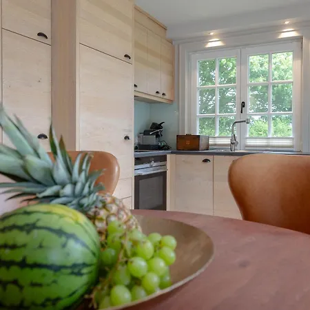 Terpstich 60a Tatil Evi *