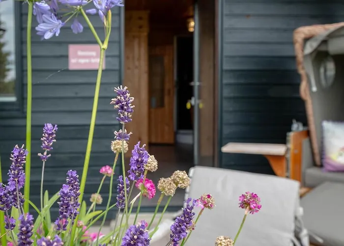 Vakantiehuis Terpstich 60a